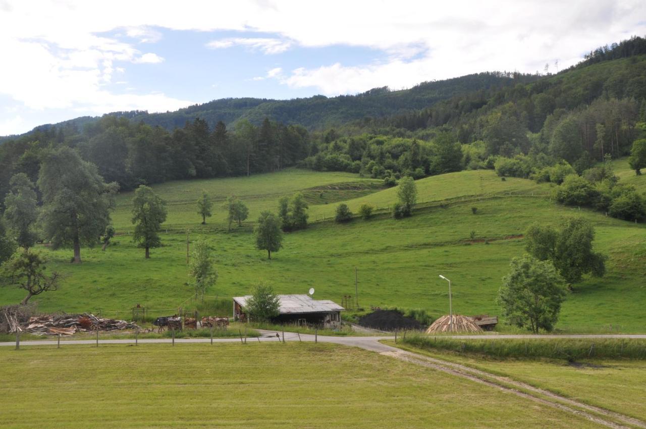 Mostheuriger Steyrdurchbruchalm Leonstein ภายนอก รูปภาพ